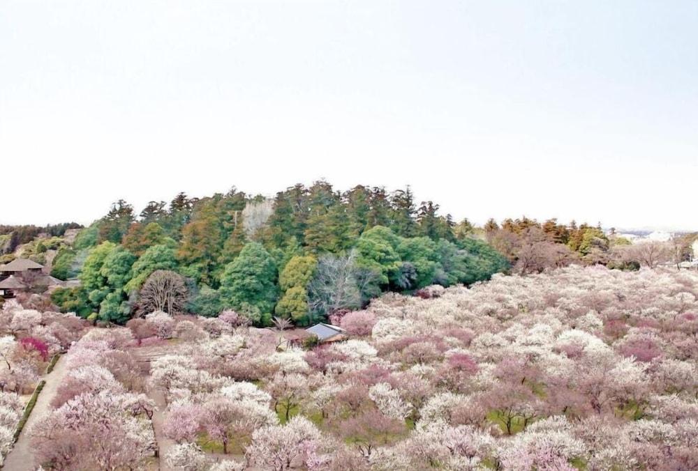 Mito Keisei Hotel Dış mekan fotoğraf