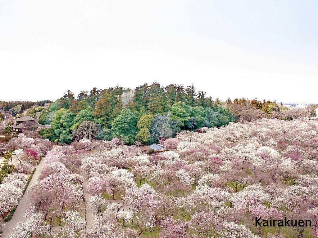 Mito Keisei Hotel Dış mekan fotoğraf
